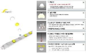 [보도]네패스엘이디 Cap LED 구조 러시아 특허 취득 썸네일