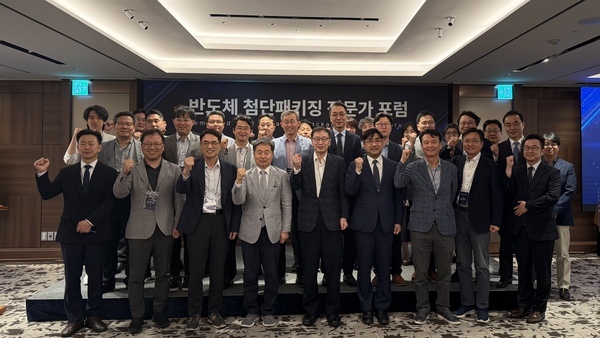 Nepes Vice President Kim Jong-heon: "Advanced Packaging Must Leap Forward to a Government-Led O 이미지1
