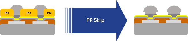 PR Stripper