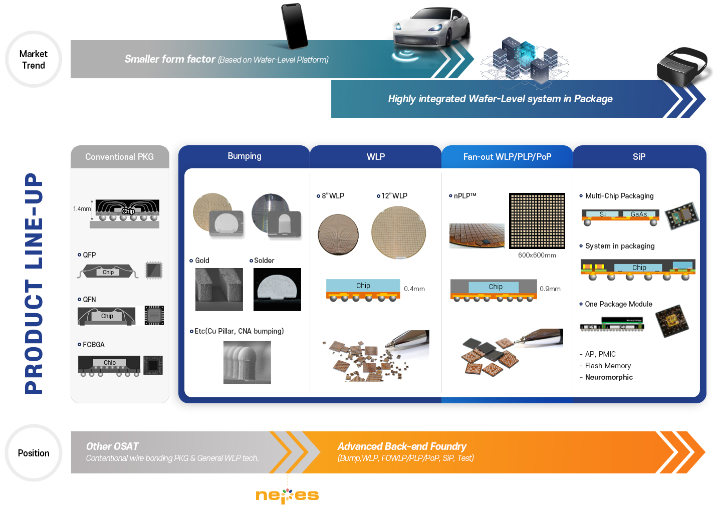 product line up